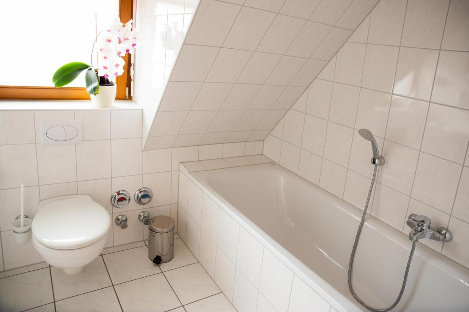Hotel Wappenstube Erbach  Extérieur photo