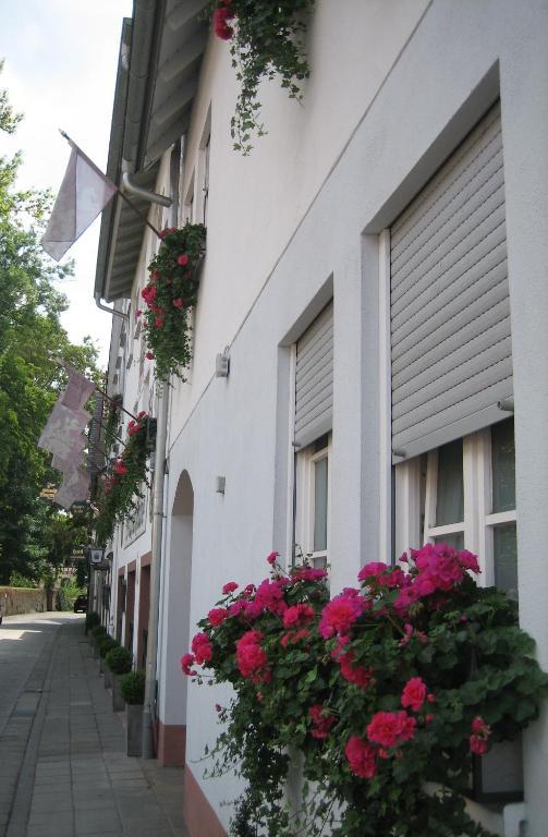 Hotel Wappenstube Erbach  Extérieur photo